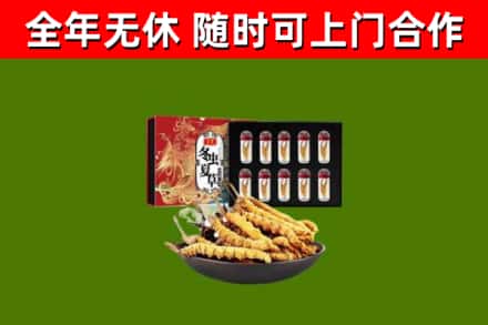 共青城烟酒回收冬虫夏草礼盒.jpg